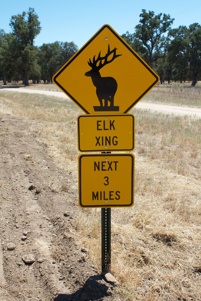 Elk Crossing