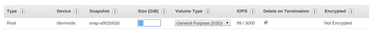 DebianAMI_launch_instance_rootsize.png