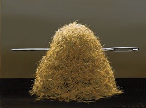 Needle in the Haystack