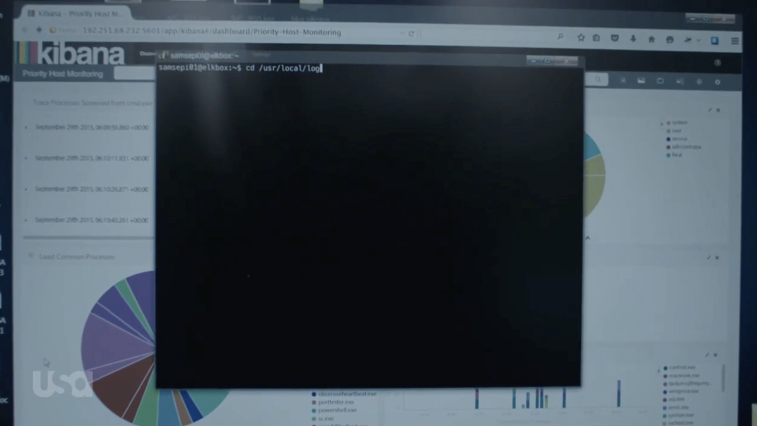 Kibana-MrRobot.png